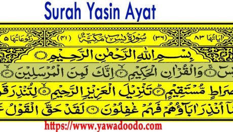 Surah Yasin Ayat